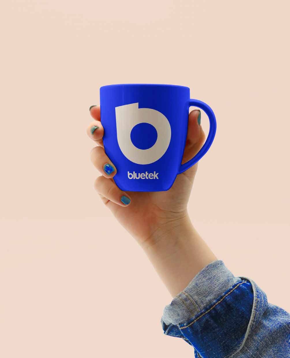 Bluetek — Brand architecture